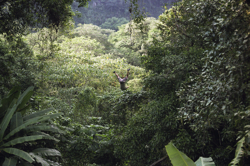 We Have Never Been Forest